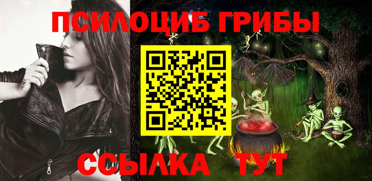 Псилоцибиновые грибы GOLDEN TEACHER  Вход с VPN  Лесозаводск 