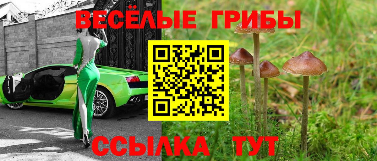 Псилоцибиновые грибы MAGIC MUSHROOMS Лесозаводск